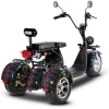 Elektrická Harley koloběžka CityCoco SC09-blesky-zezadu-2