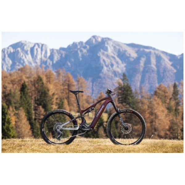 Motor Bosch Performance CX