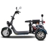 Elektrická Harley koloběžka CityCoco SC09-blesky-zboku